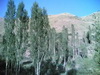 Milad Pic (12)_resize.jpg